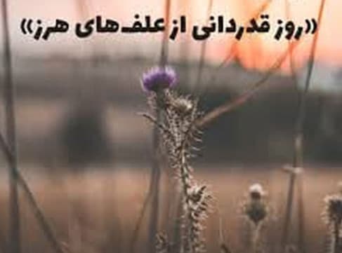 عکس ۲۸ مارس: روز آگاهی از اهمیت علفهای هرز