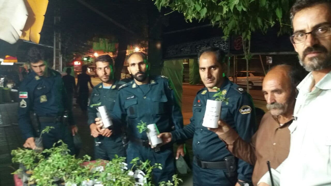 عکس نذرسبز