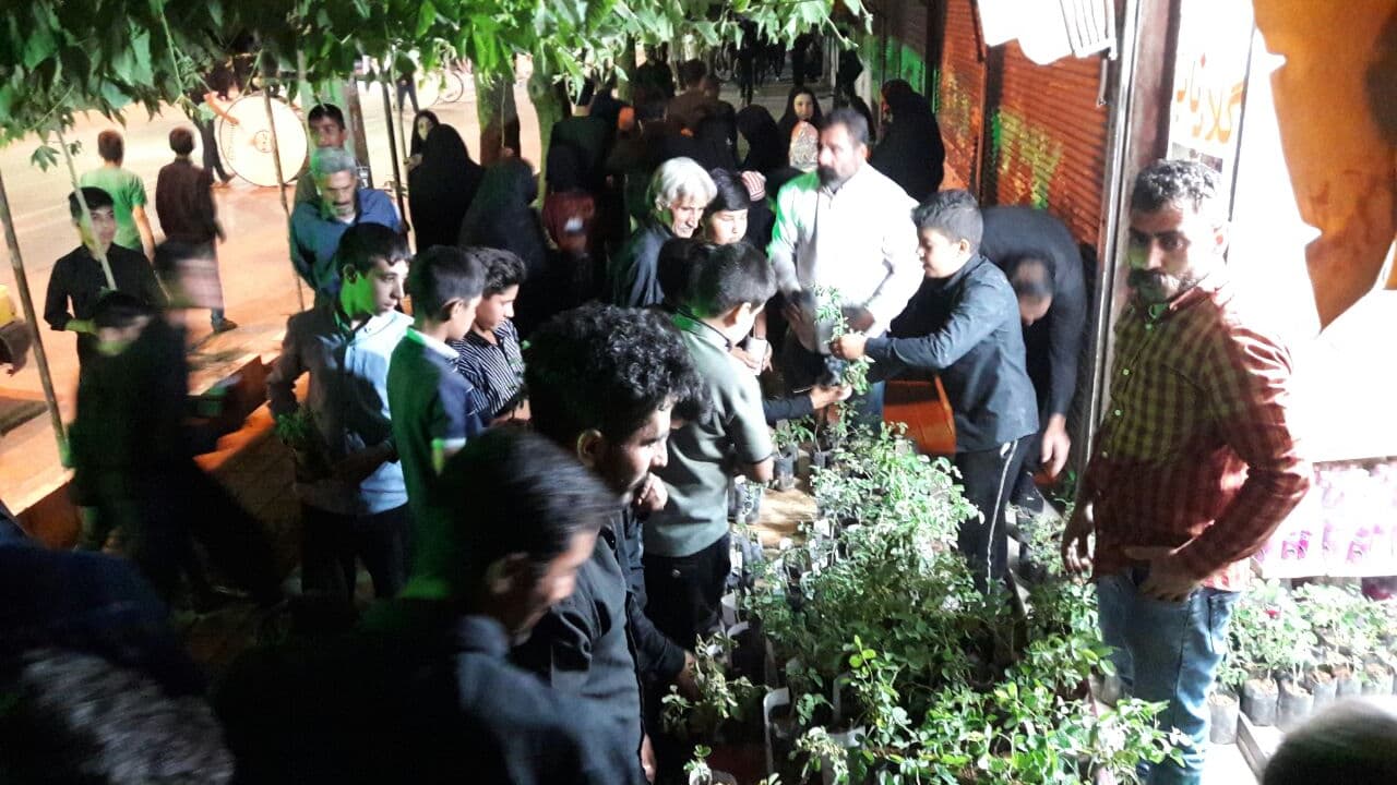 عکس نذر سبز