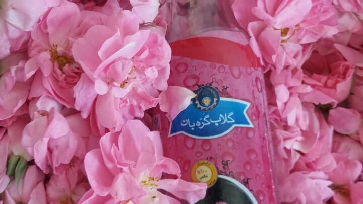 عکس گلاب ارگانیک