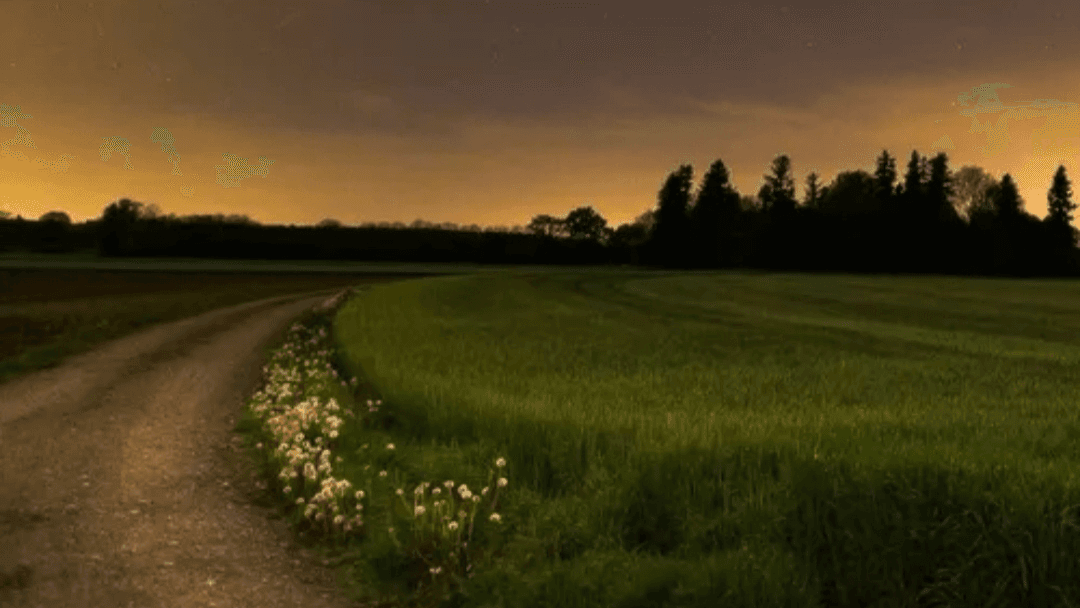 عکس نجواهای شبانه🌙💫